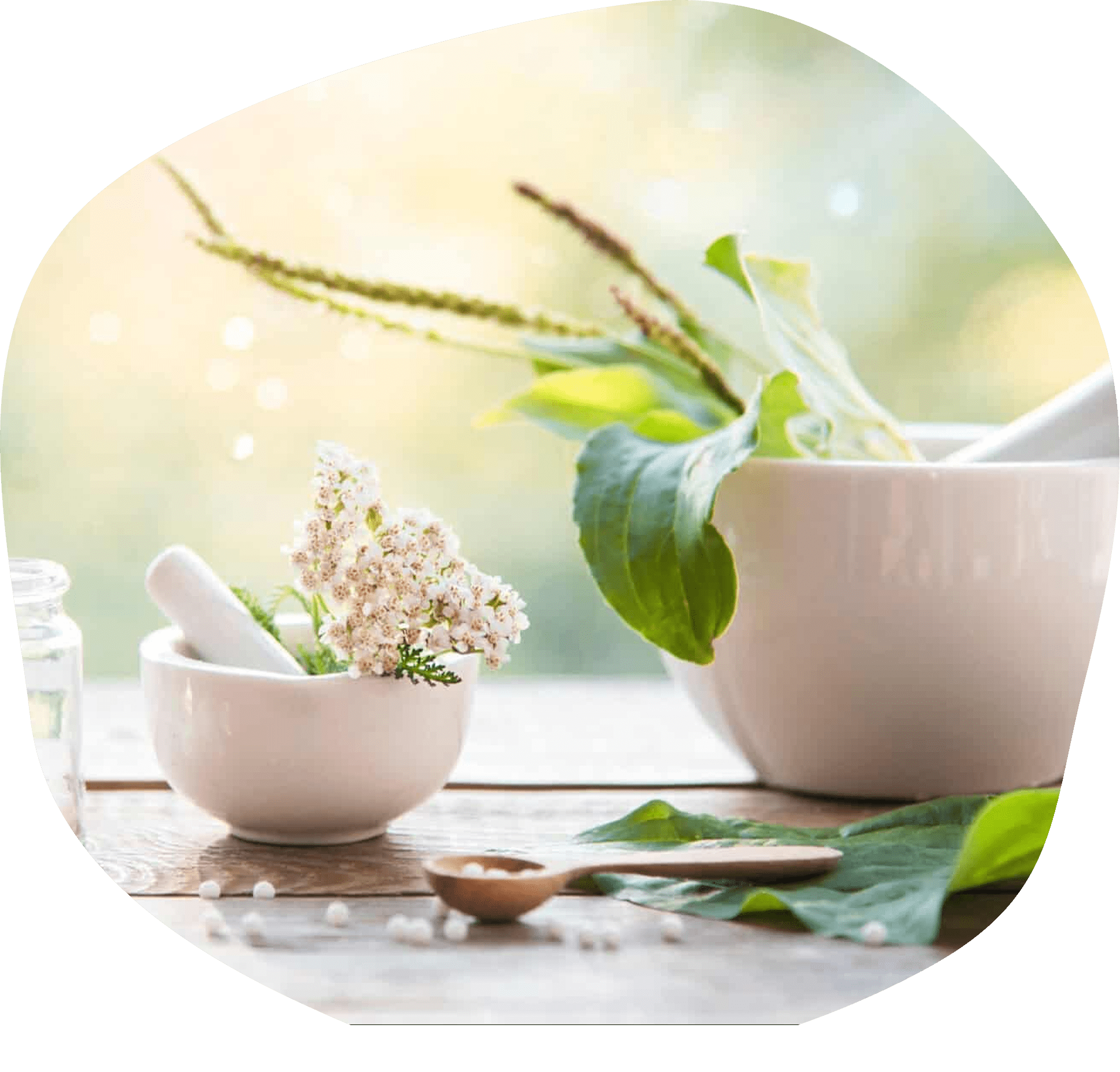 Natuurlijke middelen in kommen